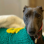 Learn to Knit a Dog Jumper in Covent Garden Craft Studio